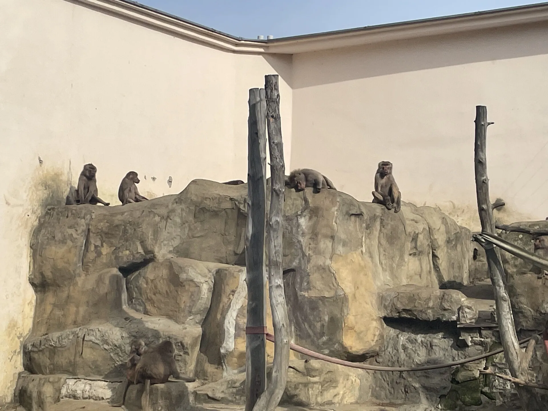 Wyjście integracyjne do ZOO
