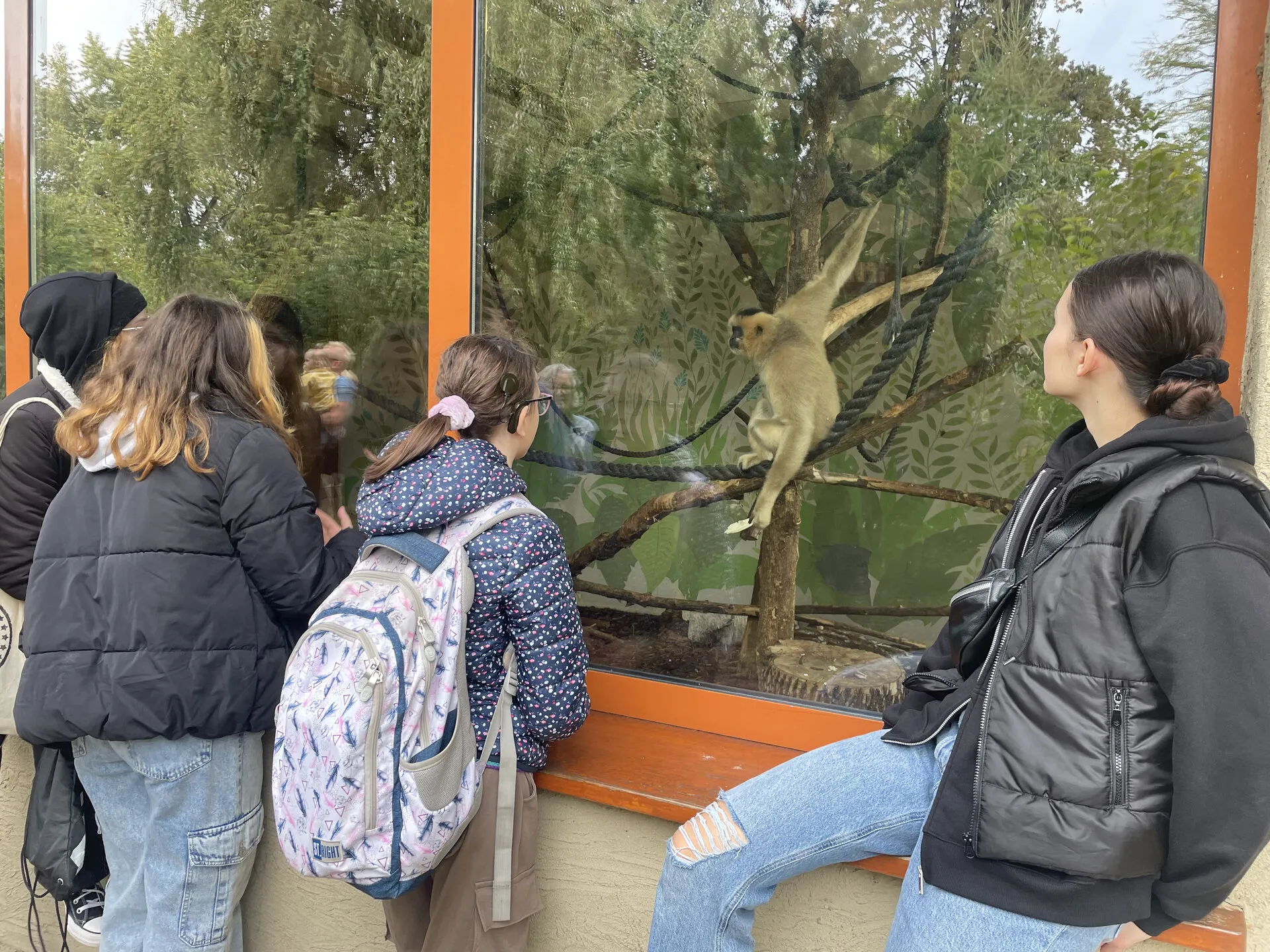 Wyjście integracyjne do ZOO