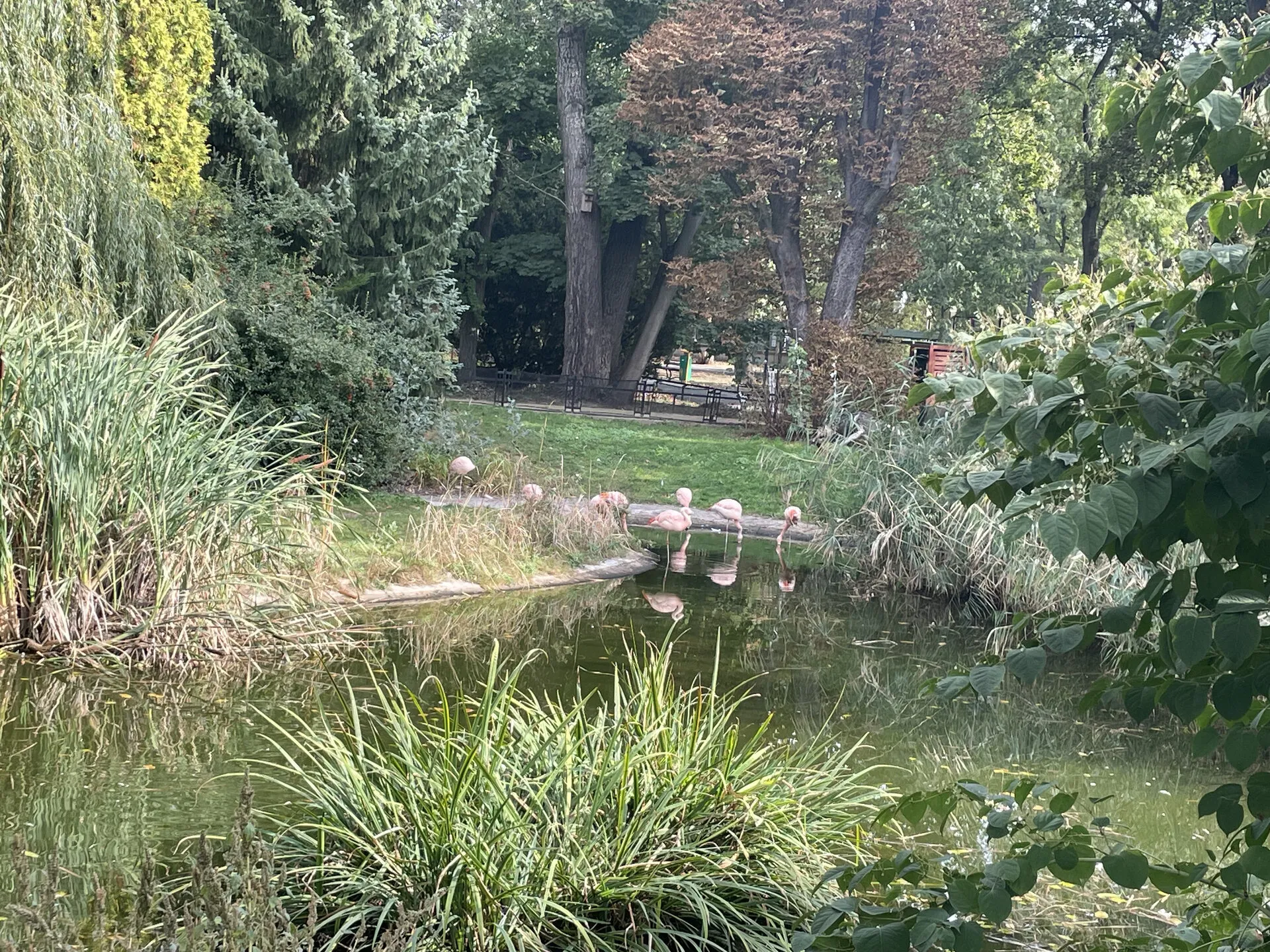 Wyjście integracyjne do ZOO