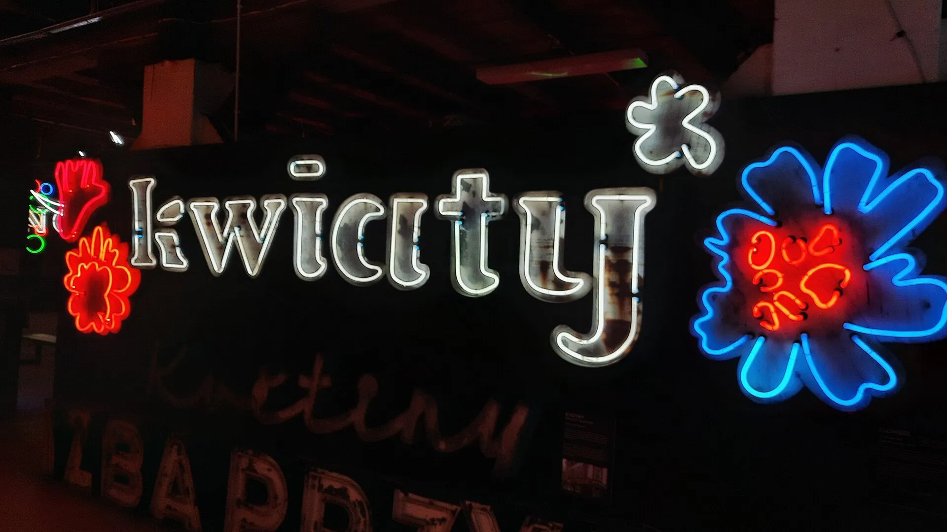 Warsztaty fotograficzne dla uczniów