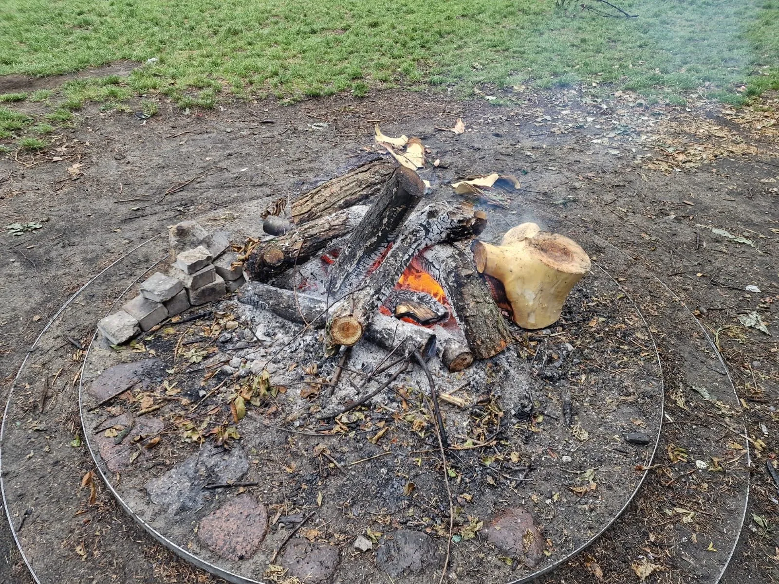 Piknik w Parku Młocińskim