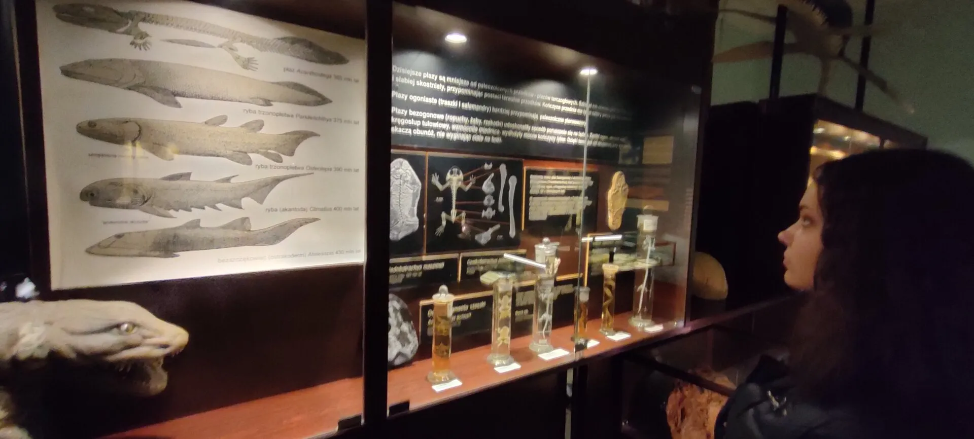 Wyjście do Muzeum Ewolucji Instytutu Paleobiologii PAN