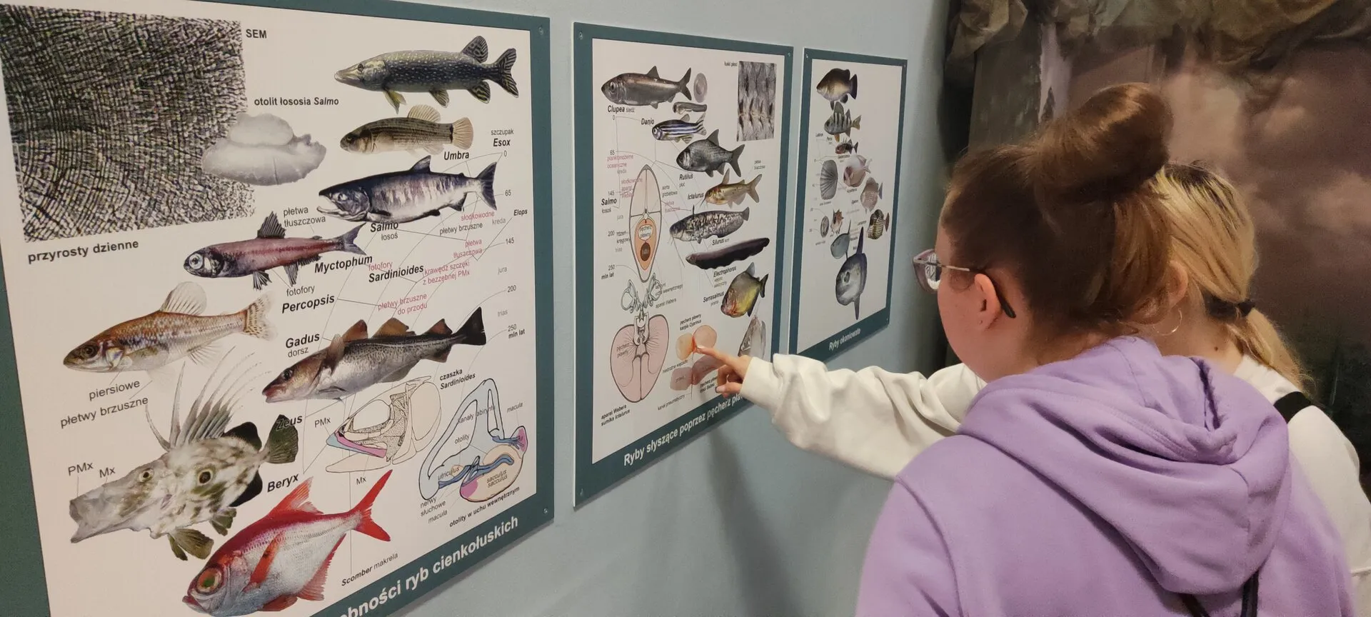 Wyjście do Muzeum Ewolucji Instytutu Paleobiologii PAN