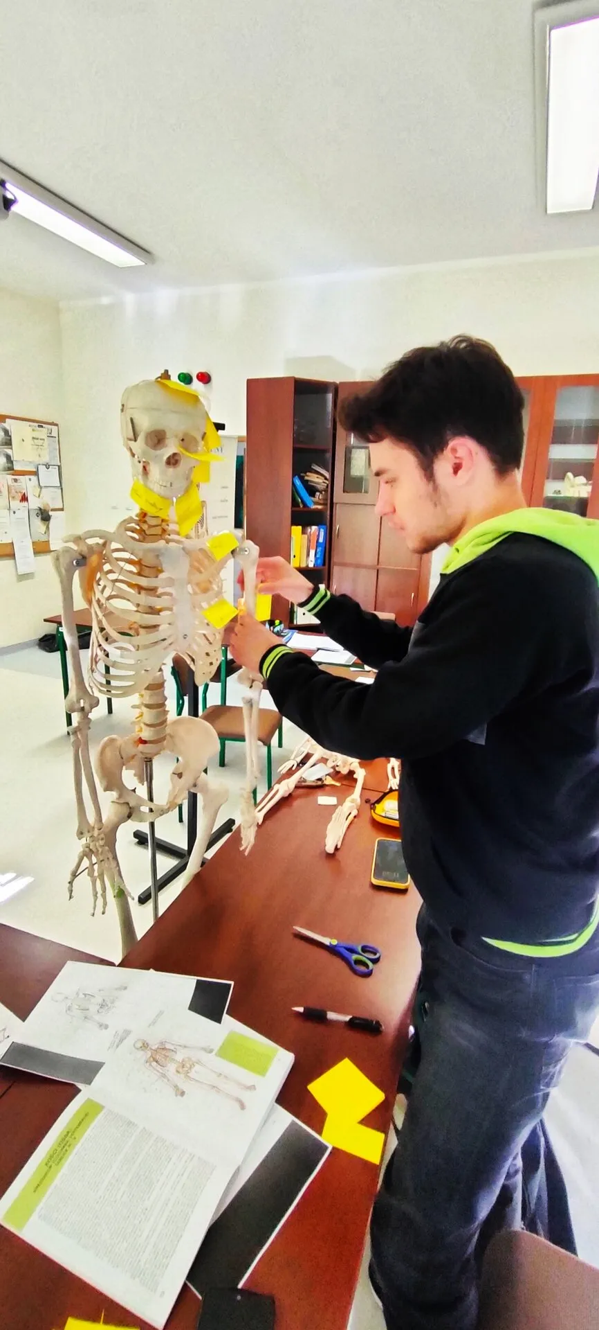 Lekcja warsztatowa z anatomii i osteologii