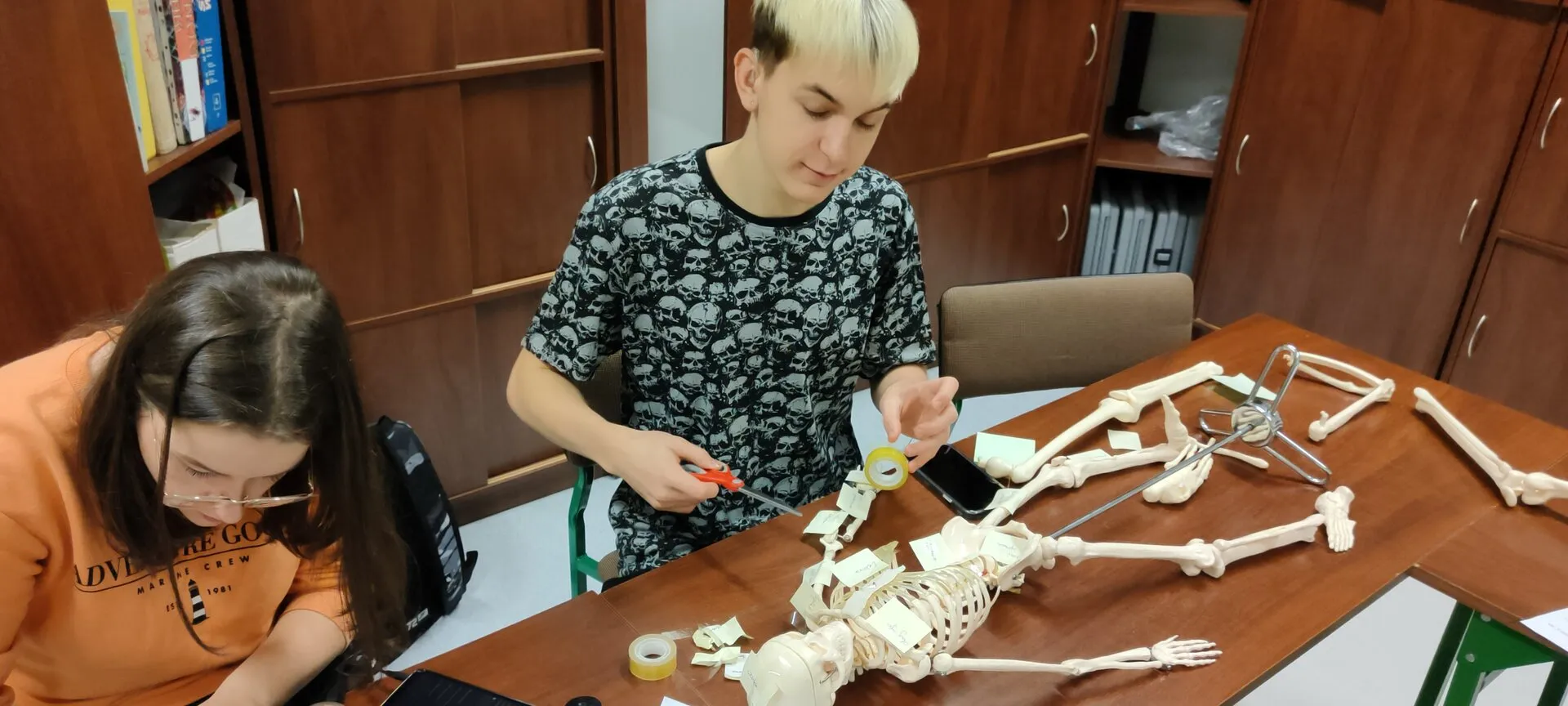 Lekcja warsztatowa z anatomii i osteologii