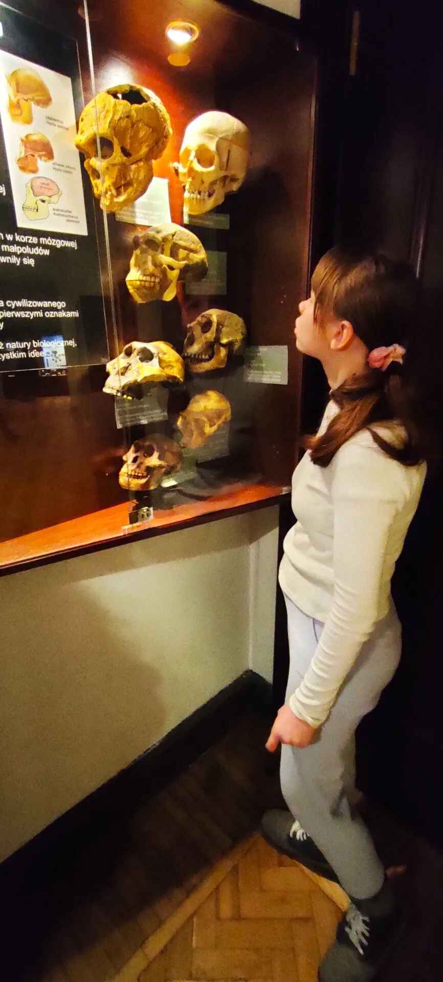 Wyjście do Muzeum Ewolucji - Polskiej Akademii Nauk w Warszawie