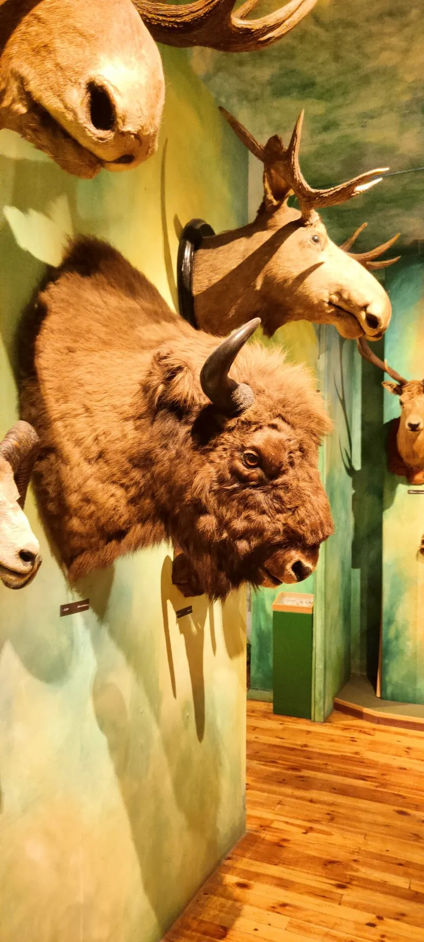 Wycieczka do Muzeum Łazienki Królewskie w Warszawie