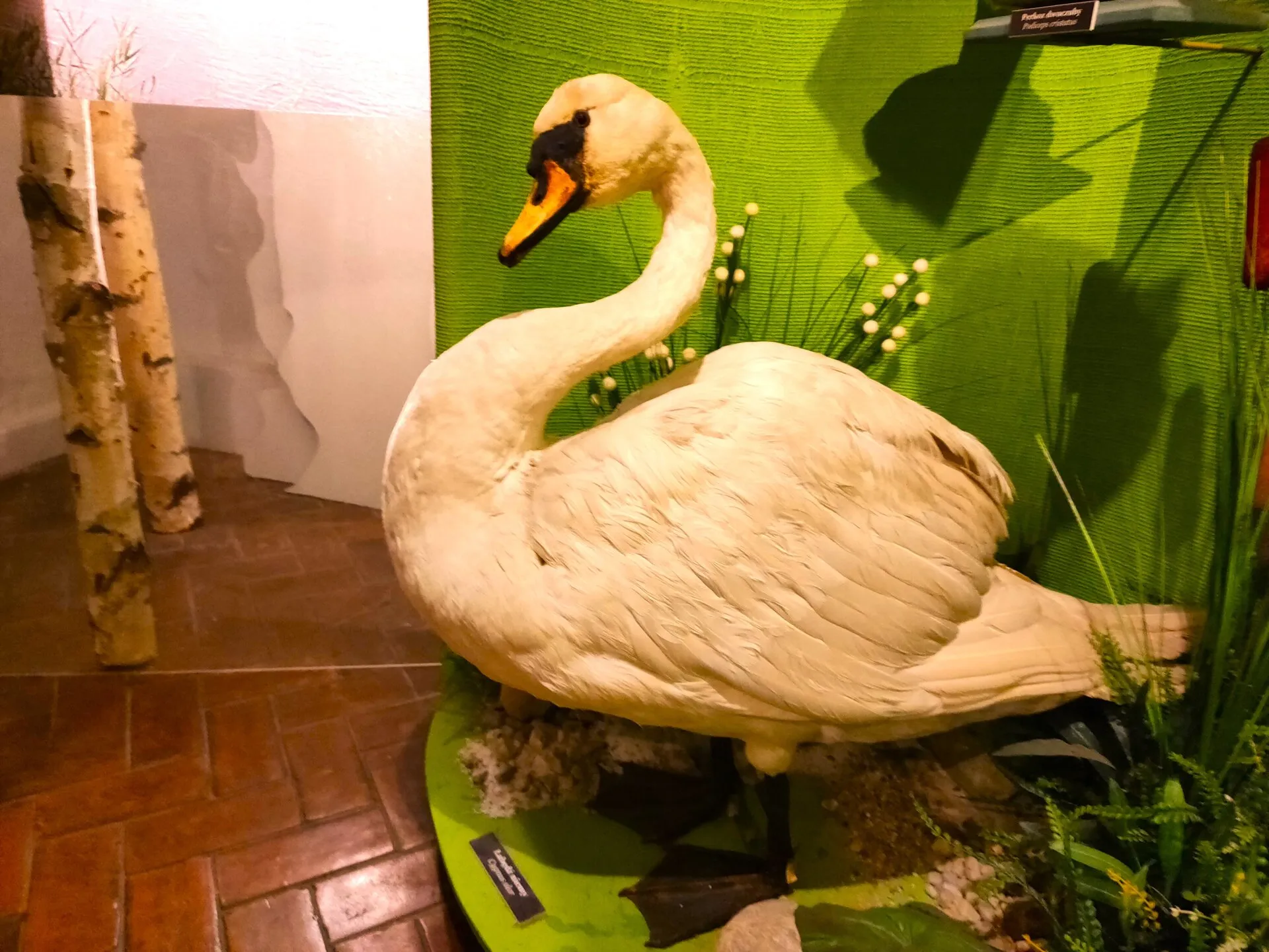 Wycieczka do Muzeum Łazienki Królewskie w Warszawie