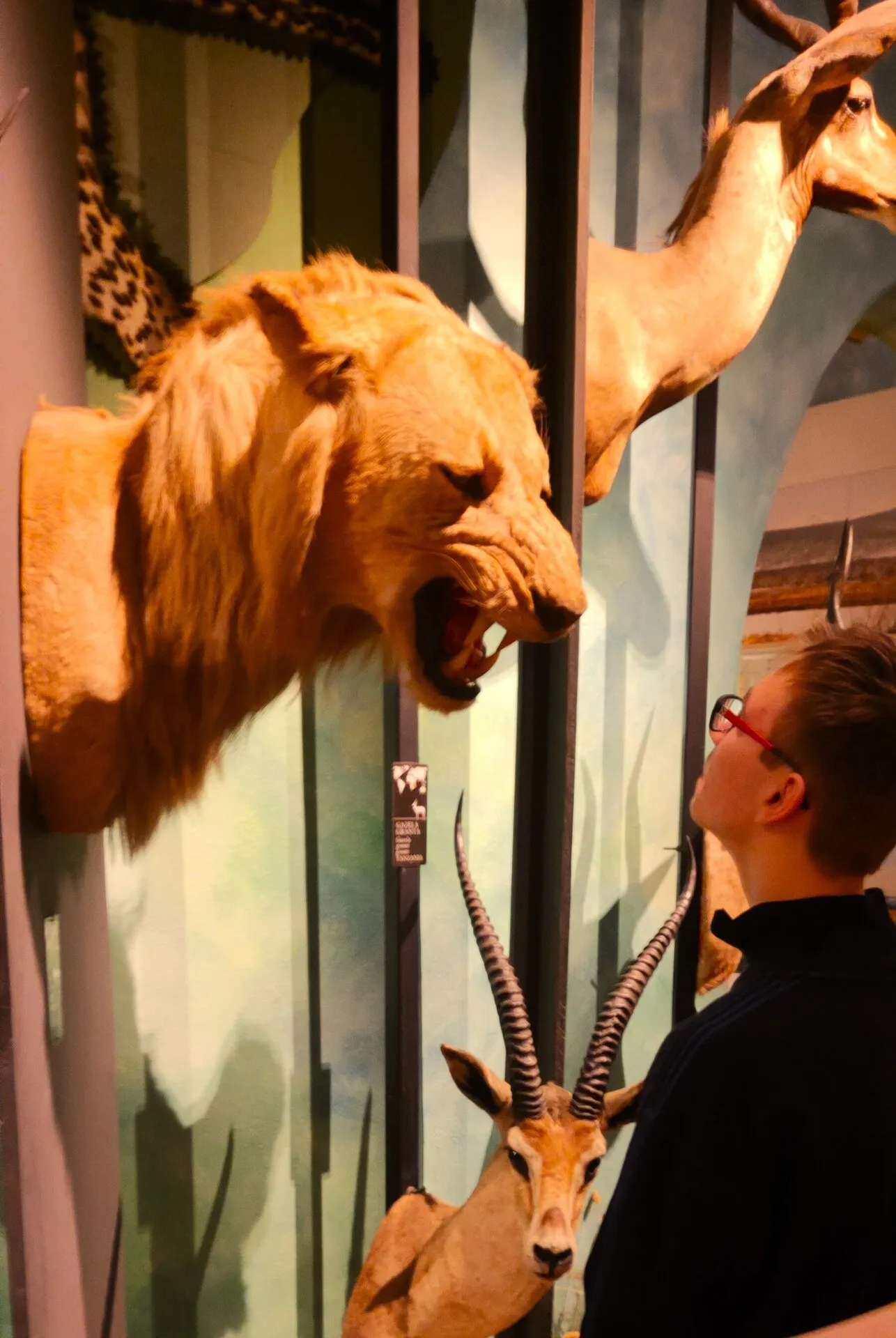 Wycieczka do Muzeum Łazienki Królewskie w Warszawie