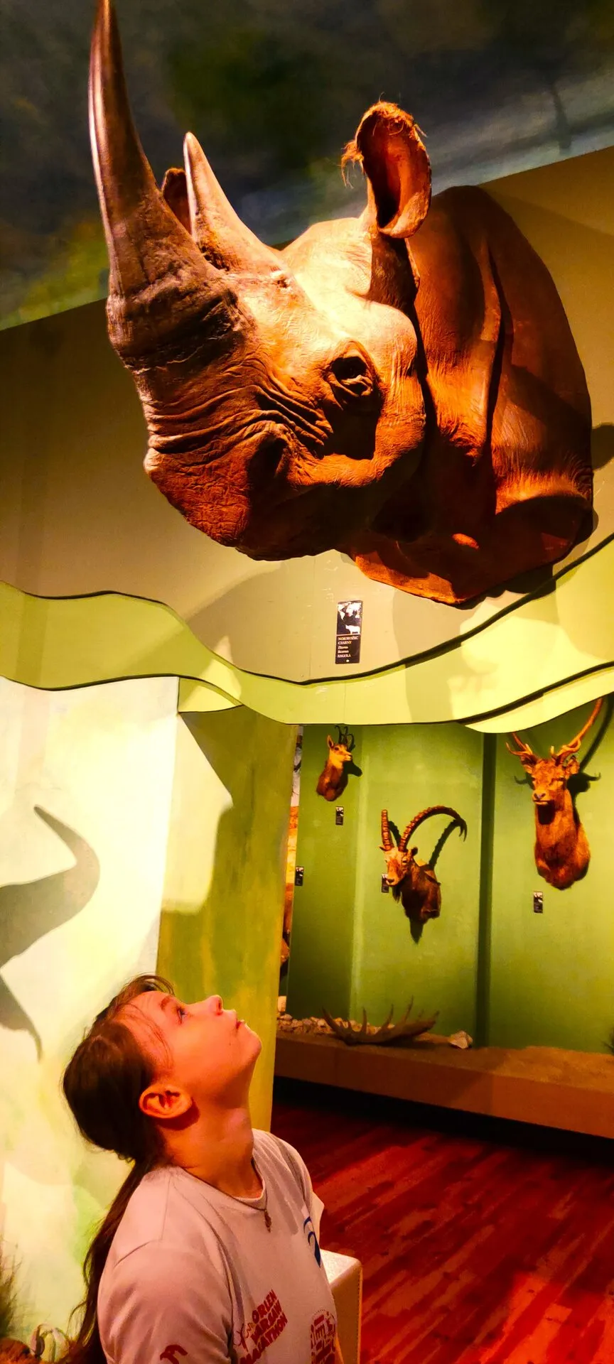 Wycieczka do Muzeum Łazienki Królewskie w Warszawie