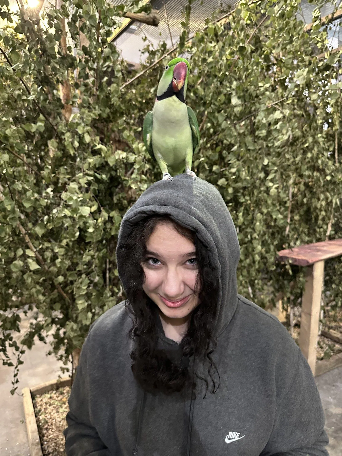 Wizyta grupy internackiej w Papugarni