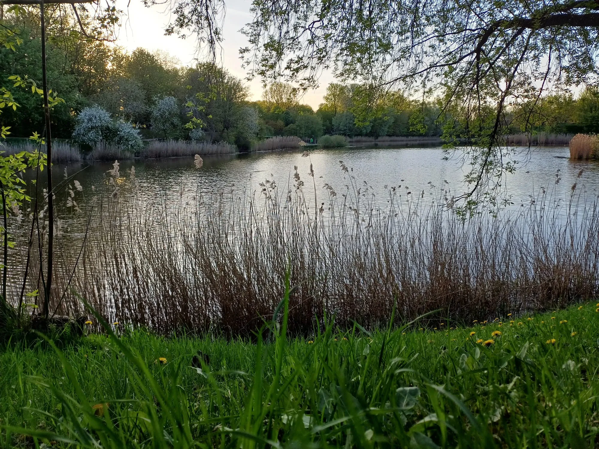 Przejażdżka rowerowa