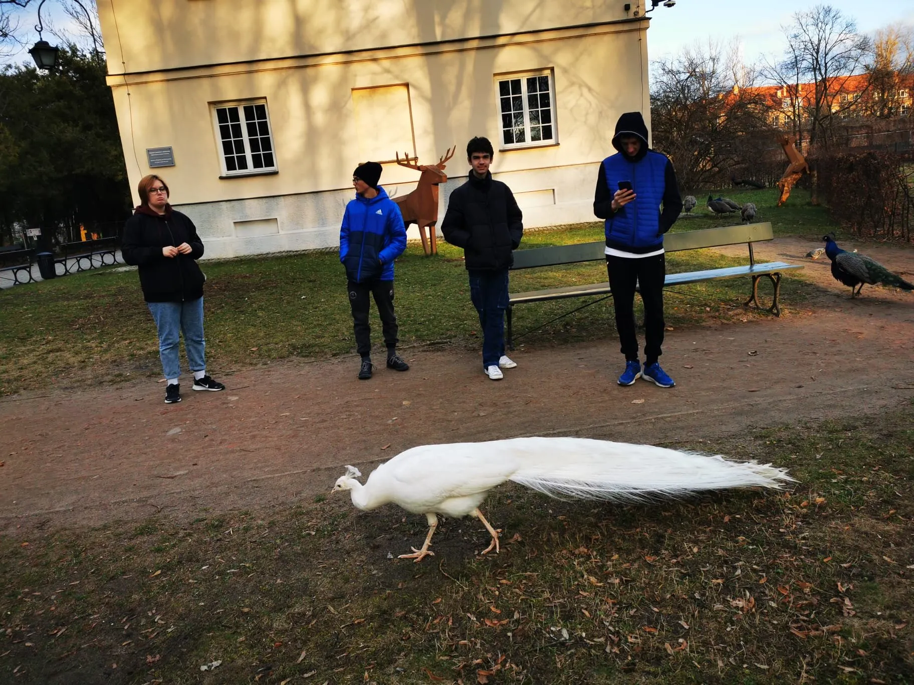 Wyjście do Łazienek Królewskich